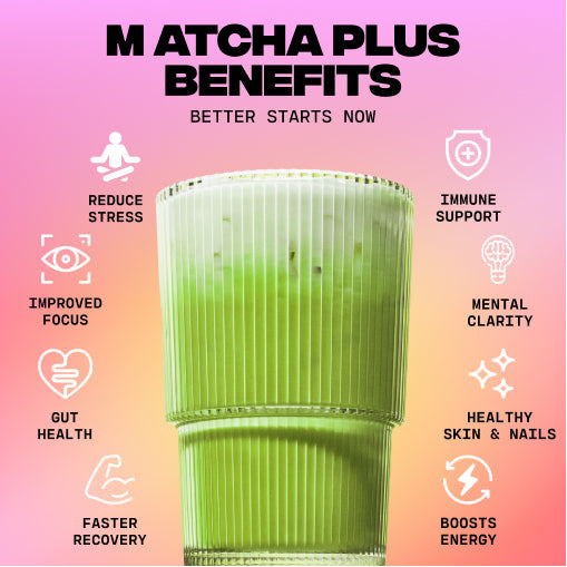 Matcha+ Starter Kit (30 Servings) - Modern Matcha Style