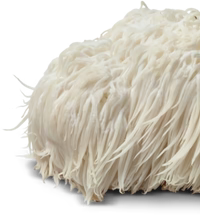 Lion's mane mushroom